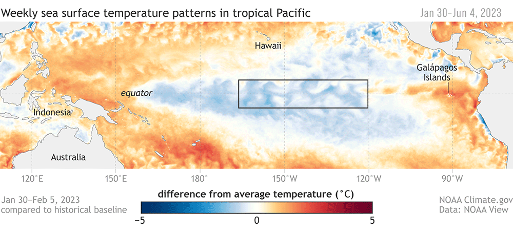 Animation of weekly sea surface temperature patterns in tropical Pacific.